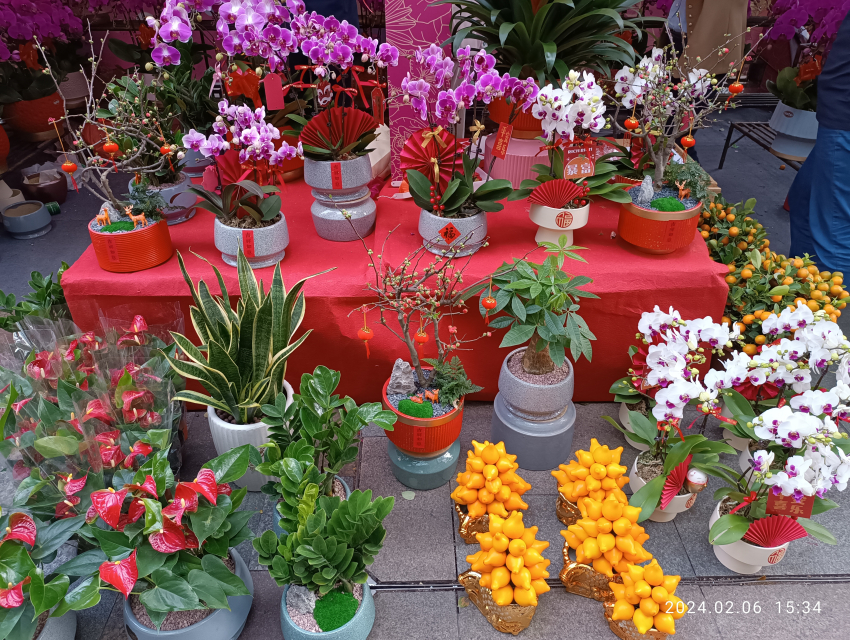 Bahar Şenliği Çiçek Fuarı