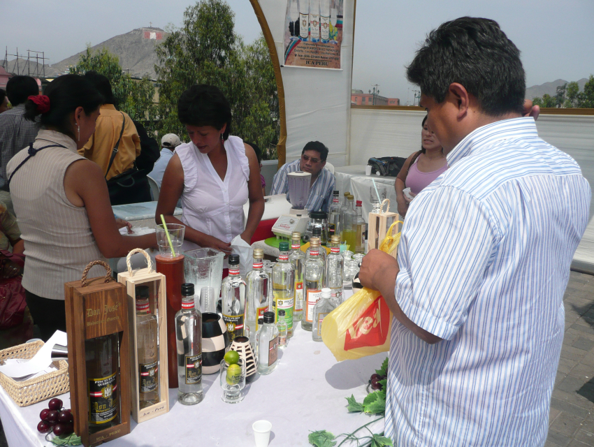 Pisco Sour Day