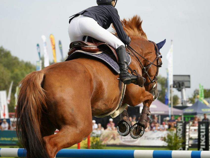 Iroquois Steeplechase