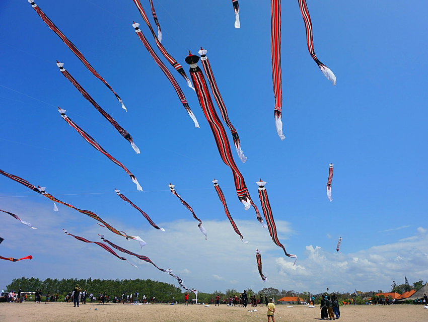 발리 국제 연 축제
