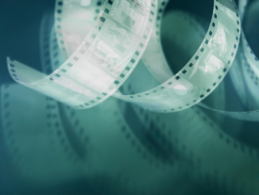 방콕 국제 영화제