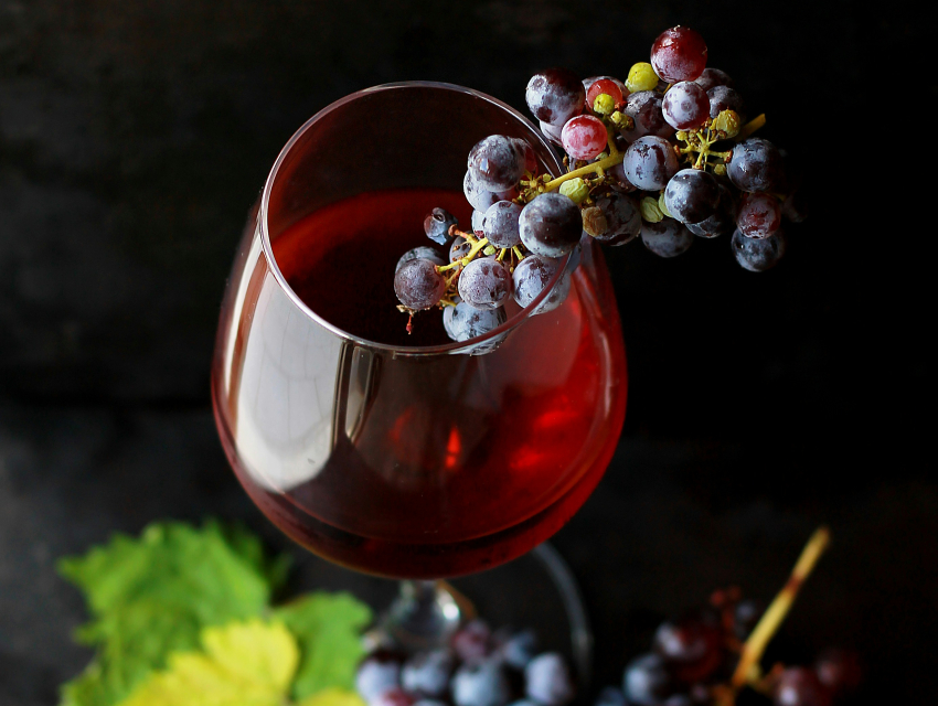 La gran degustación - Festival gastronómico y de vino de la Bahía de San Diego