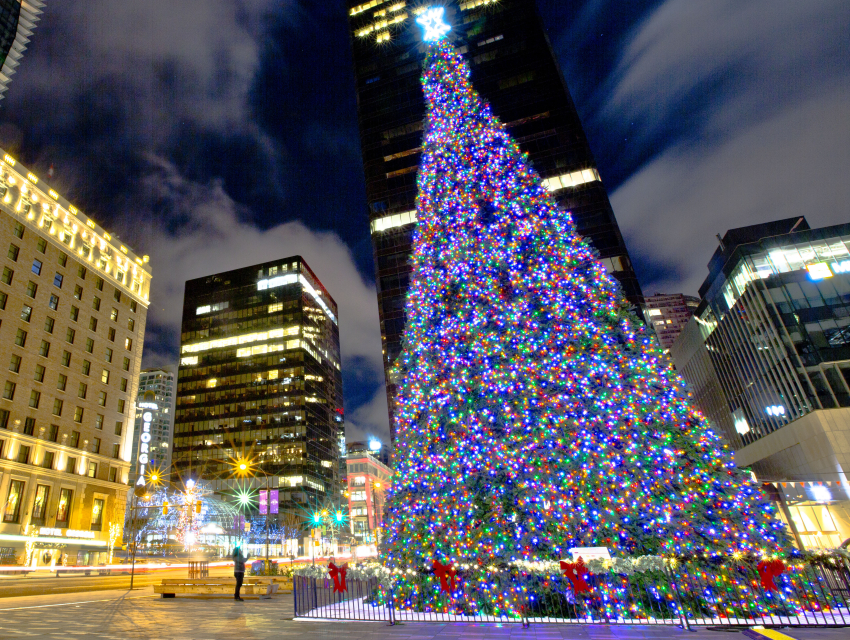 Broadway at the Beach! Celebração da iluminação da árvore