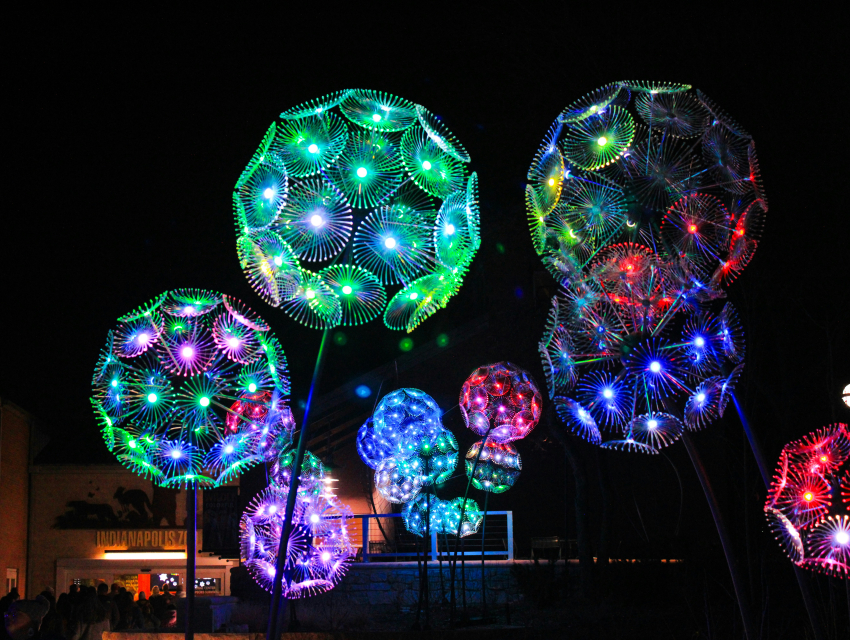 ノアリヤド – 光アートフェスティバル