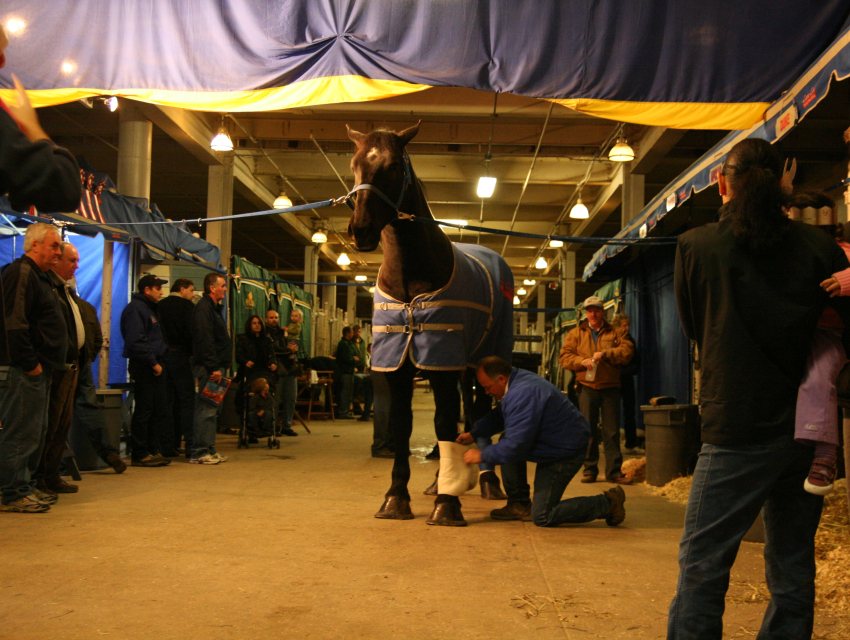 The Royal Agricultural Winter Fair