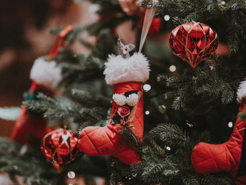 Boże Narodzenie na zamku