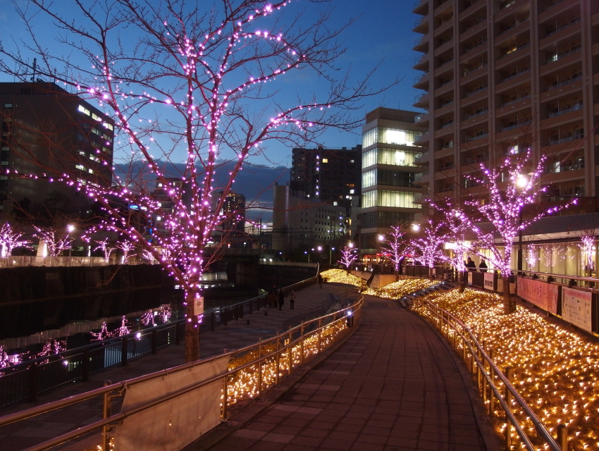 Iluminasi Musim Dingin