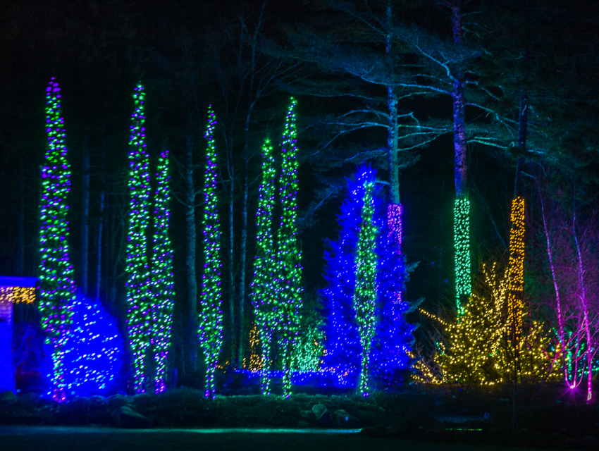 Winter Garden aGlow — Family fun