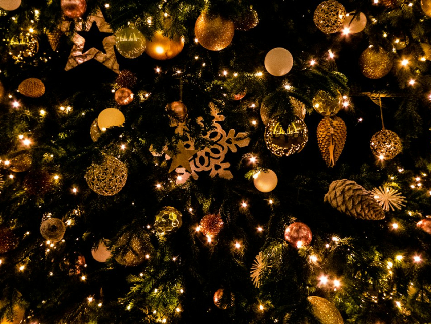 Winter Wonders (Plaisirs d'Hiver Winterpret)