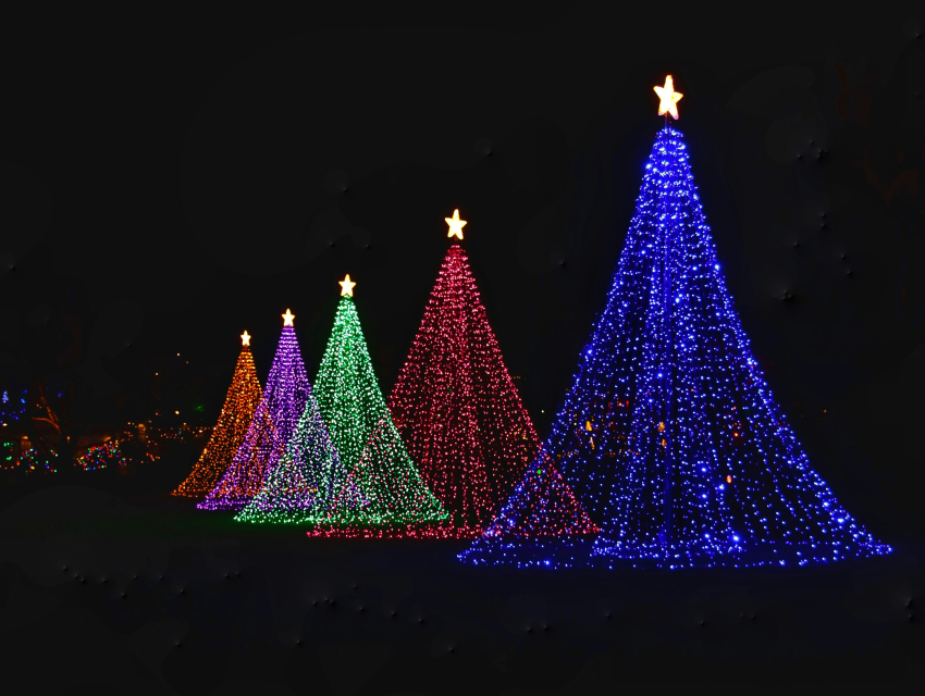 Malam yang Mempesona