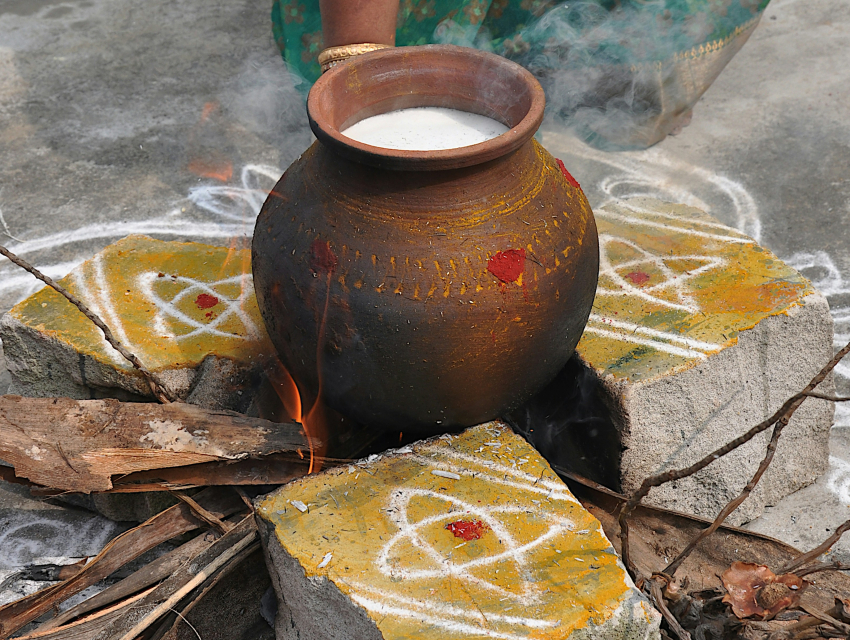 Pongal