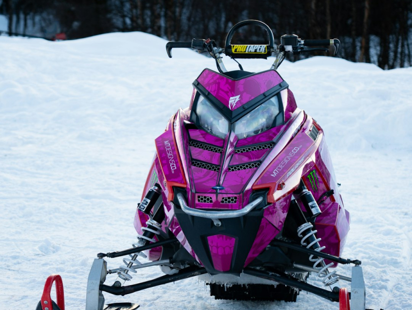 Polar Adventure Days