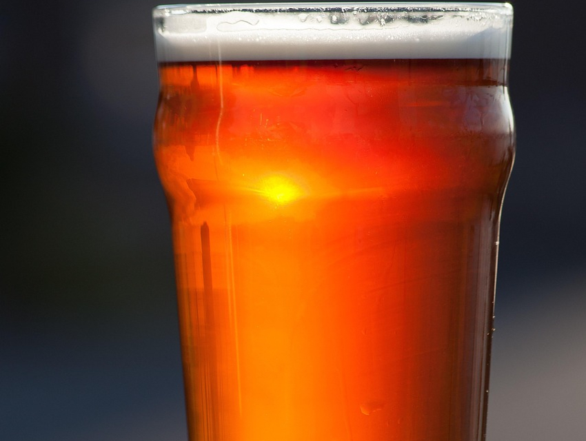 Festival Bir Barcelona