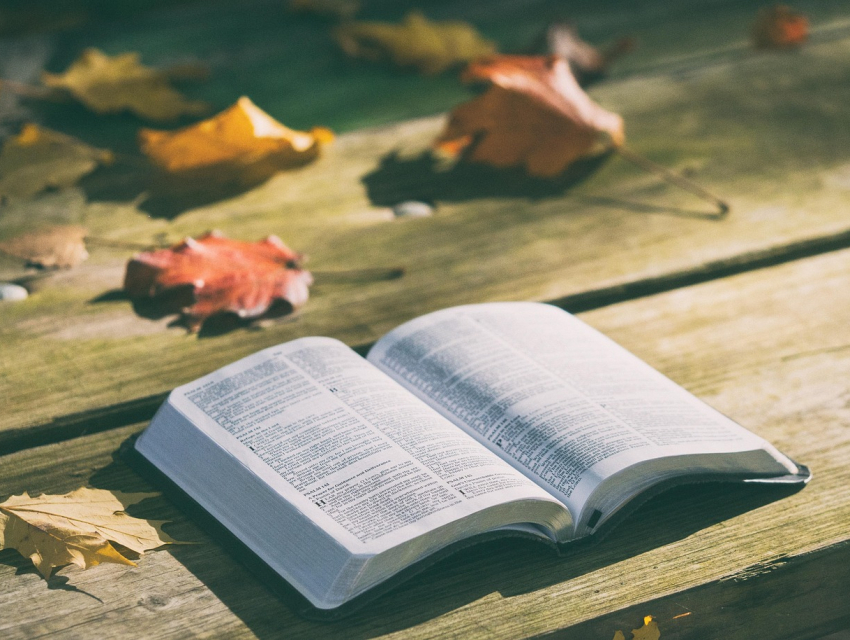 로스앤젤레스 타임스 페스티벌 오브 북스(Los Angeles Times Festival of Books)