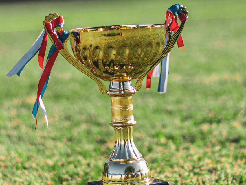 Crocodile Challenge Cup