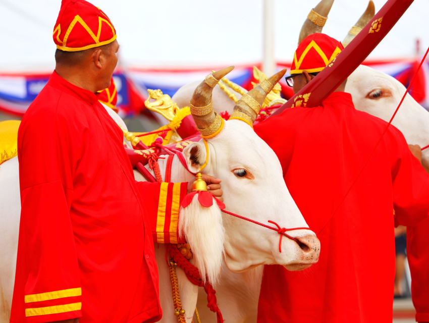 Royal Ploughing Ceremony
