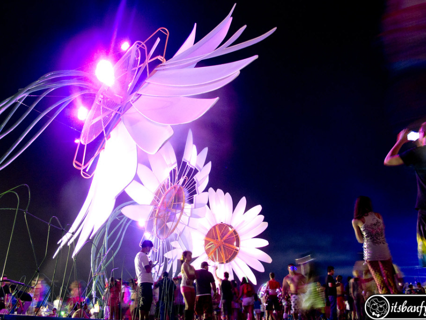 Electric Daisy Carnival