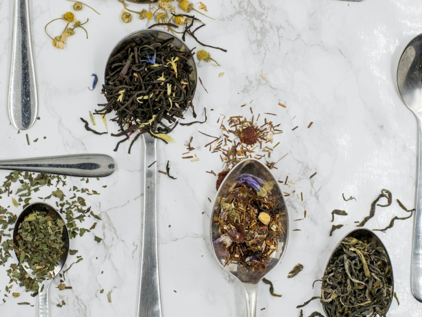 Exposición internacional de la industria del té de Guangzhou
