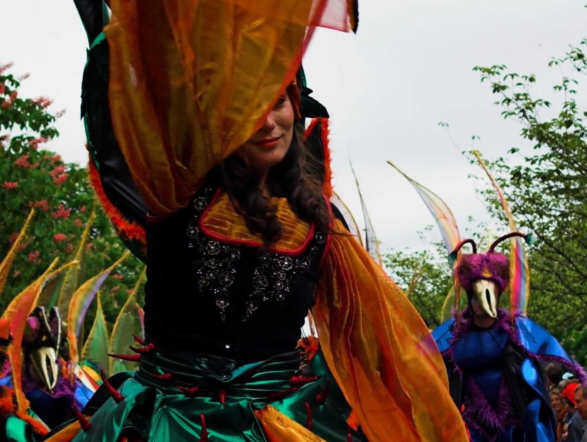 Carnaval de las Culturas